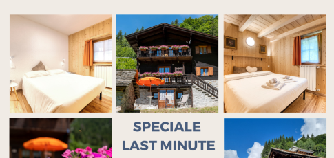 ossolacollection de liste-angebote 011