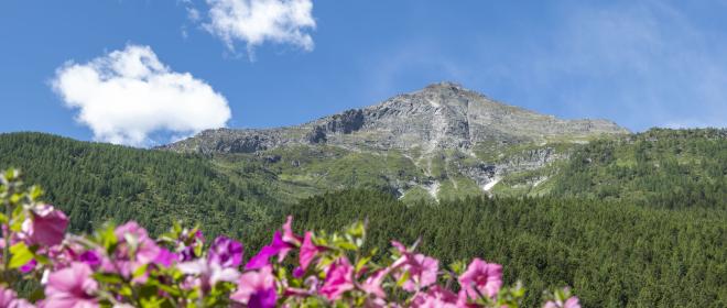 ossolacollection it trekking-dei-quattro-laghi-alpini-antrona-campliccioli-cingino-camposecco 021