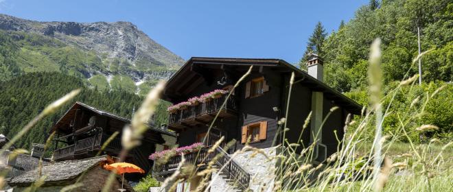 ossolacollection it trekking-dei-quattro-laghi-alpini-antrona-campliccioli-cingino-camposecco 026